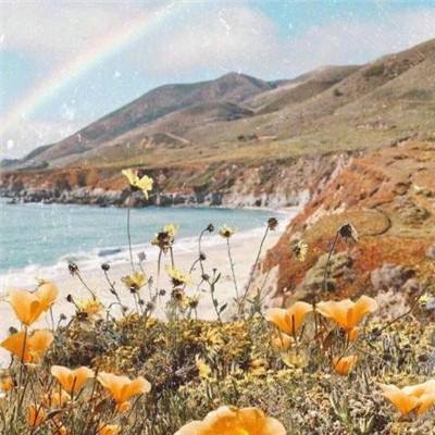 华体会体育手机app下载